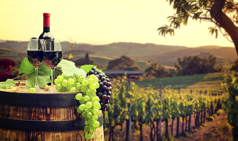 27A 2020 vinogradivino