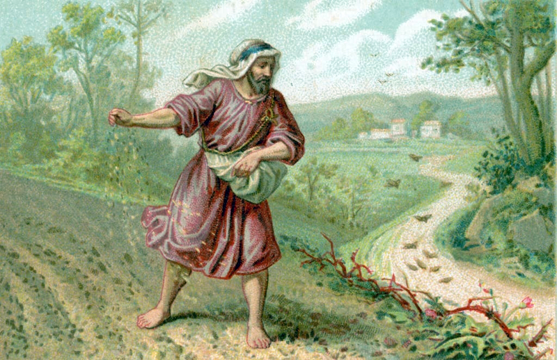 15. nedjelja kroz godinu.A