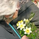 Spomenik bl. Augustinu Kažotiću